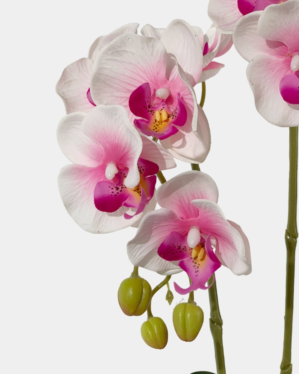 Artificial Crown Phalaenopsis (Life - like Artificial) - Plant Arrangement - coral - Preserved Flowers & Fresh Flower Florist Gift Store