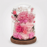 Carnation Bell Dome - Dark Pink - Flowers - Preserved Flowers & Fresh Flower Florist Gift Store