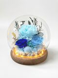 Carnation Blowball - Blue - Flowers - Preserved Flowers & Fresh Flower Florist Gift Store