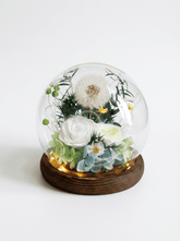 Dandelion Daphne Blowball - Flowers - Eau de nil - Preserved Flowers & Fresh Flower Florist Gift Store