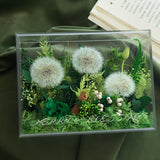 Enchanted Preserved Flower Box - Flowers - Early Spring - Preserved Flowers & Fresh Flower Florist Gift Store