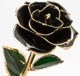 Eternal Preserved Rose Bloom - Real Rose Preserved - Eternal Love Series - Flowers - Black - Preserved Flowers & Fresh Flower Florist Gift Store