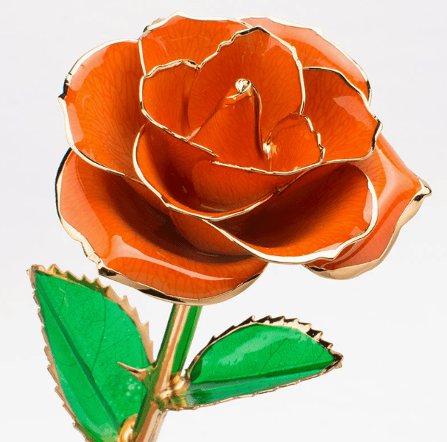 Eternal Preserved Rose Bloom - Real Rose Preserved - Eternal Love Series - Flowers - Orange - Preserved Flowers & Fresh Flower Florist Gift Store