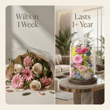 Gardenia Bell Dome - Flowers - Sakura Sweet Pink - Preserved Flowers & Fresh Flower Florist Gift Store