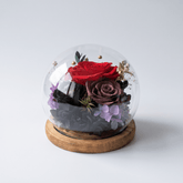 Rose Blowball - Red - Flowers - Preserved Flowers & Fresh Flower Florist Gift Store