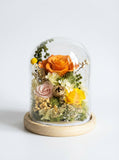 Sora Preserved Flower Dome - Flowers - Orange - Preserved Flowers & Fresh Flower Florist Gift Store