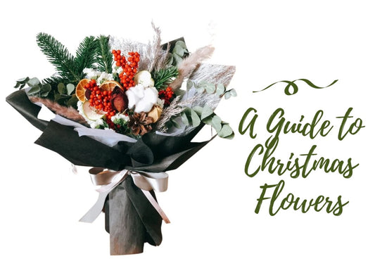 A Guide to Christmas Flowers - Ana Hana Flower