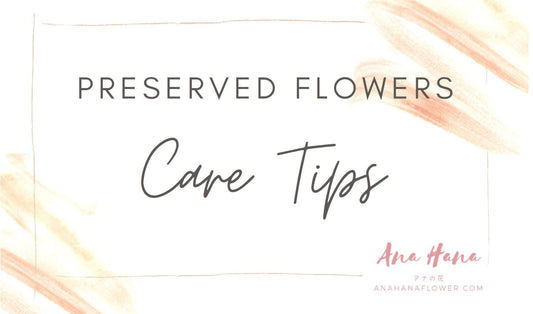 The Ultimate Guide: Caring for Your Preserved Flowers - Ana Hana Flower