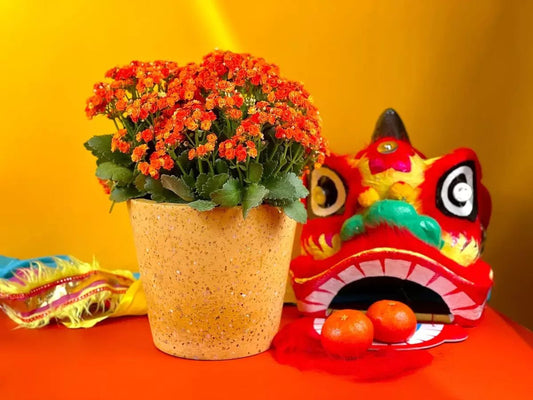 Celebrate Chinese New Year 2023 With These Popular Flowers - Ana Hana Flower