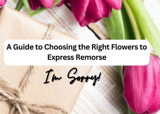 I'm Sorry Flowers: A Guide to Choosing the Right Flowers to Express Remorse - Ana Hana Flower