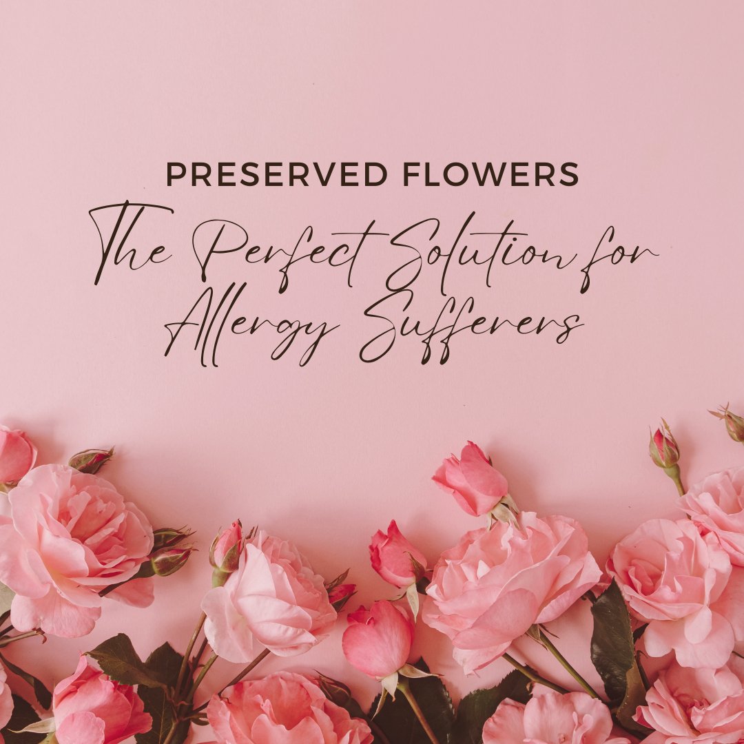 Preserved Flowers: The Perfect Solution for Allergy Sufferers - Ana Hana Flower