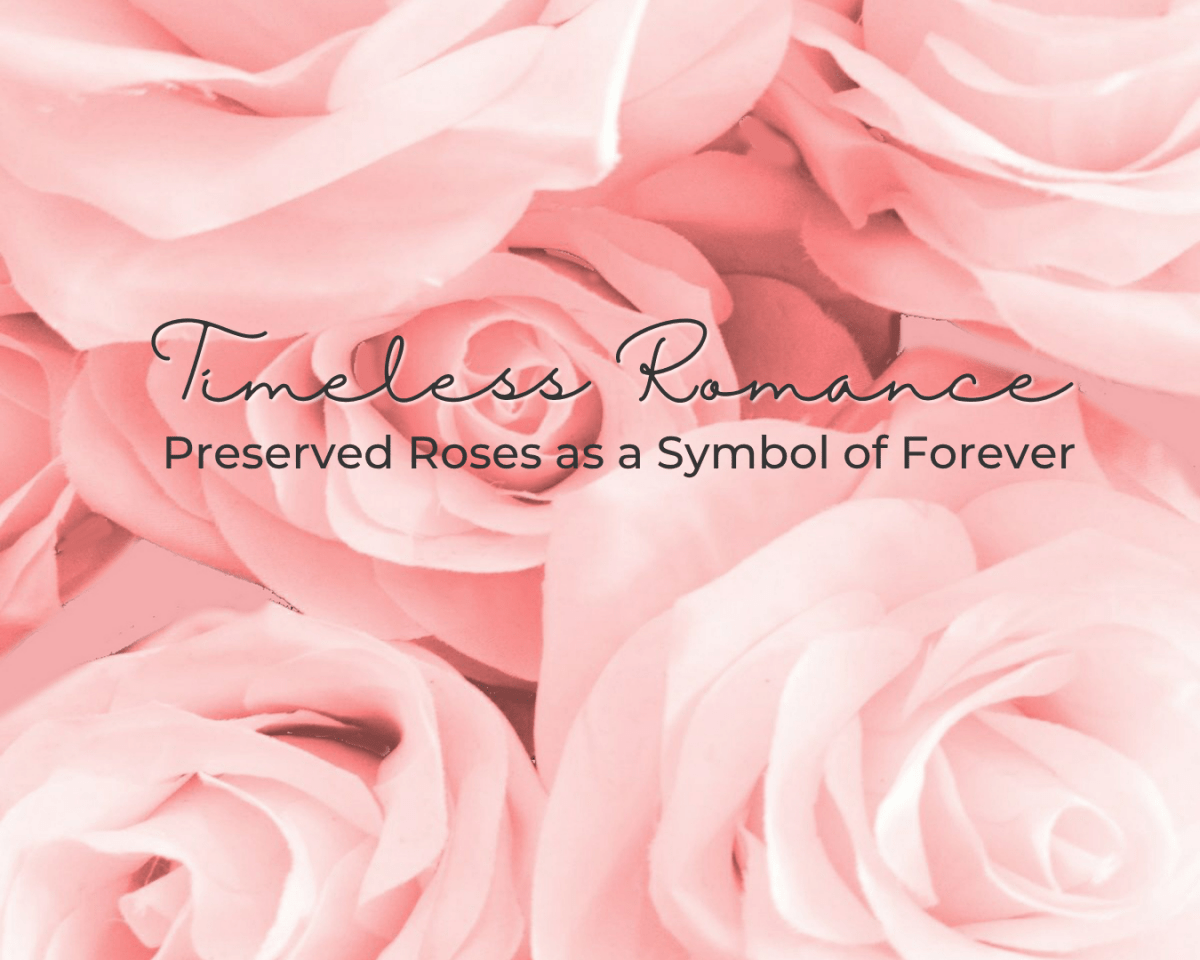 Timeless Romance: Preserved Roses as a Symbol of Forever - Ana Hana Flower