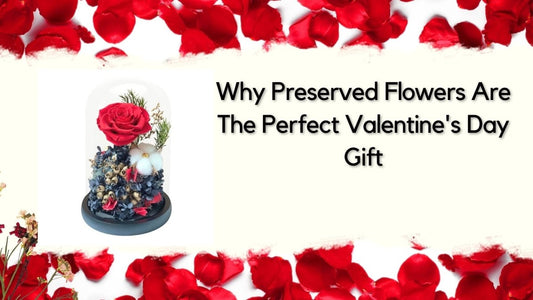 Why Preserved Flowers Are The Perfect Valentine's Day Gift - Ana Hana Flower