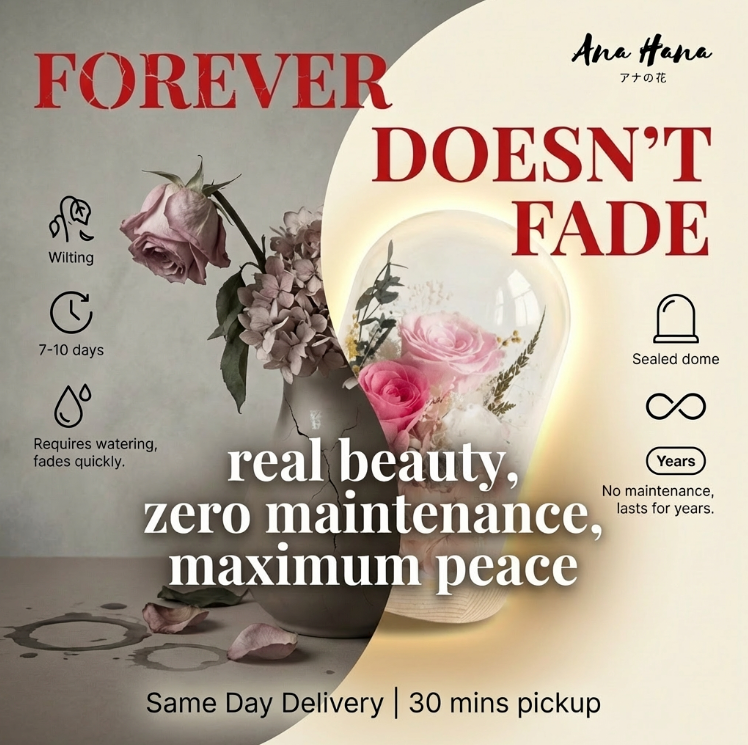 Sora Preserved Flower Dome