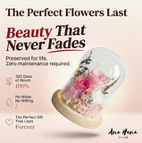 Sora Preserved Flower Dome