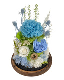 Carnation Bell Dome - Tiffany Blue (With Gift Box) - Flowers - Preserved Flowers & Fresh Flower Florist Gift Store