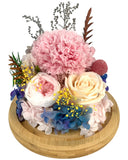 Carnation Bell Jar - Pink Peaches (with box) - Flowers - Preserved Flowers & Fresh Flower Florist Gift Store