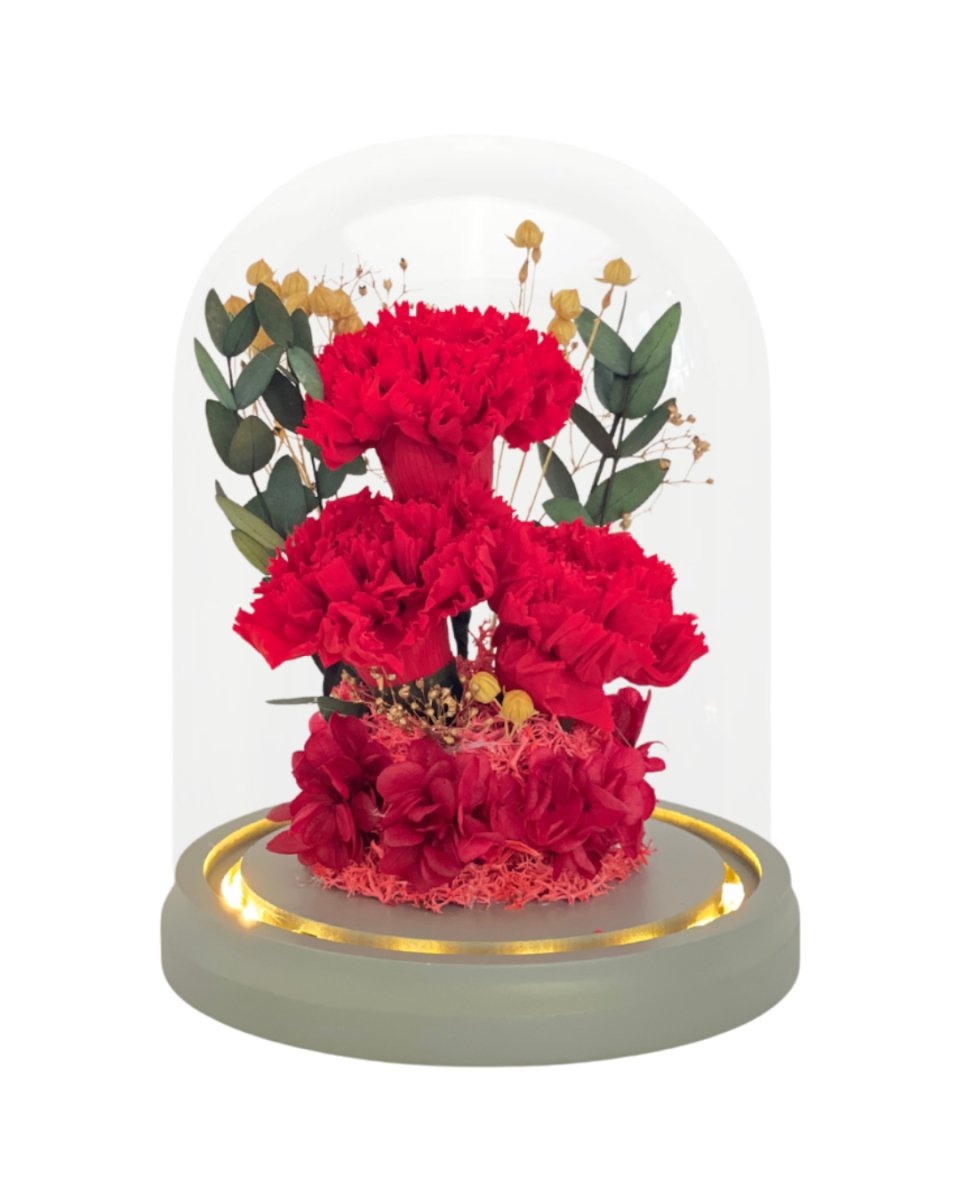 Daichi - Flowers - Red - Preserved Flowers & Fresh Flower Florist Gift Store