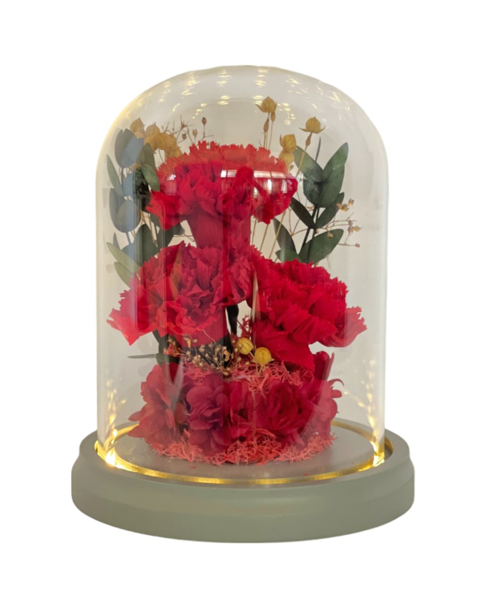 Daichi - Flowers - Red - Preserved Flowers & Fresh Flower Florist Gift Store