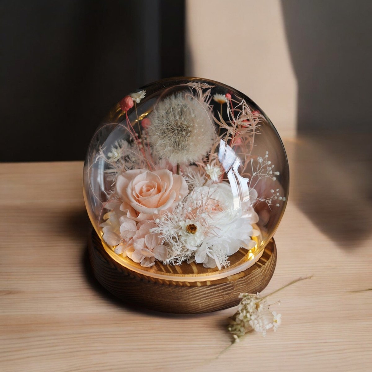 Dandelion Daphne Blowball - Flowers - Champagne - Preserved Flowers & Fresh Flower Florist Gift Store