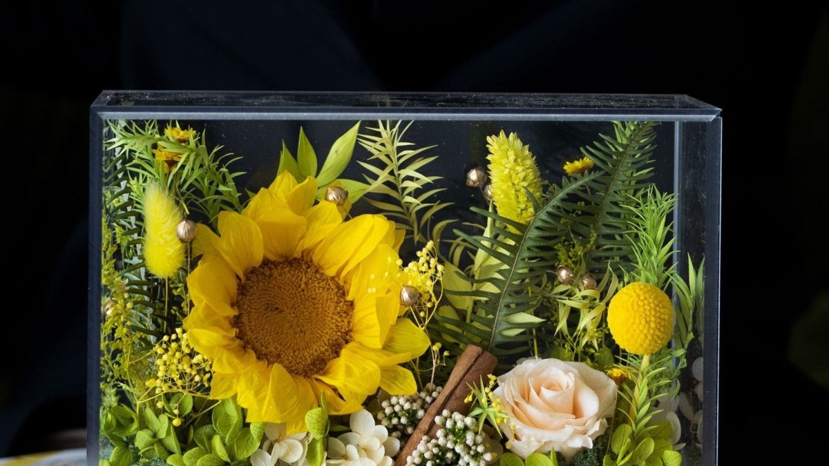 Enchanted Preserved Flower Box - Flowers - Sunflower - Preserved Flowers & Fresh Flower Florist Gift Store