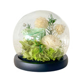 Erika - Green - Flower - Preserved Flowers & Fresh Flower Florist Gift Store