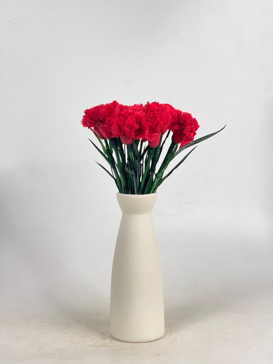 Everlasting Carnation - Flowers - 12 Carnation - Preserved Flowers & Fresh Flower Florist Gift Store