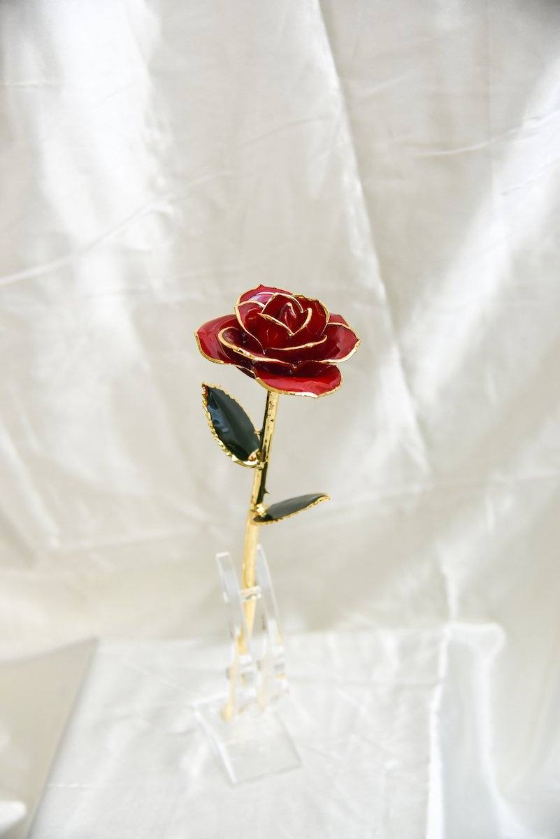 Eternal Preserved Rose Bloom - Real Rose Preserved - Eternal Love Series - Flower - Silver - Preserved Flowers & Fresh Flower Florist Gift Store