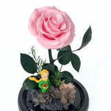 Little Prince, Pink Rose - Flower - Preserved Flowers & Fresh Flower Florist Gift Store