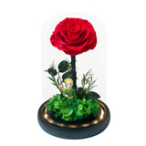 Little Prince, Red Rose - Flower - Preserved Flowers & Fresh Flower Florist Gift Store